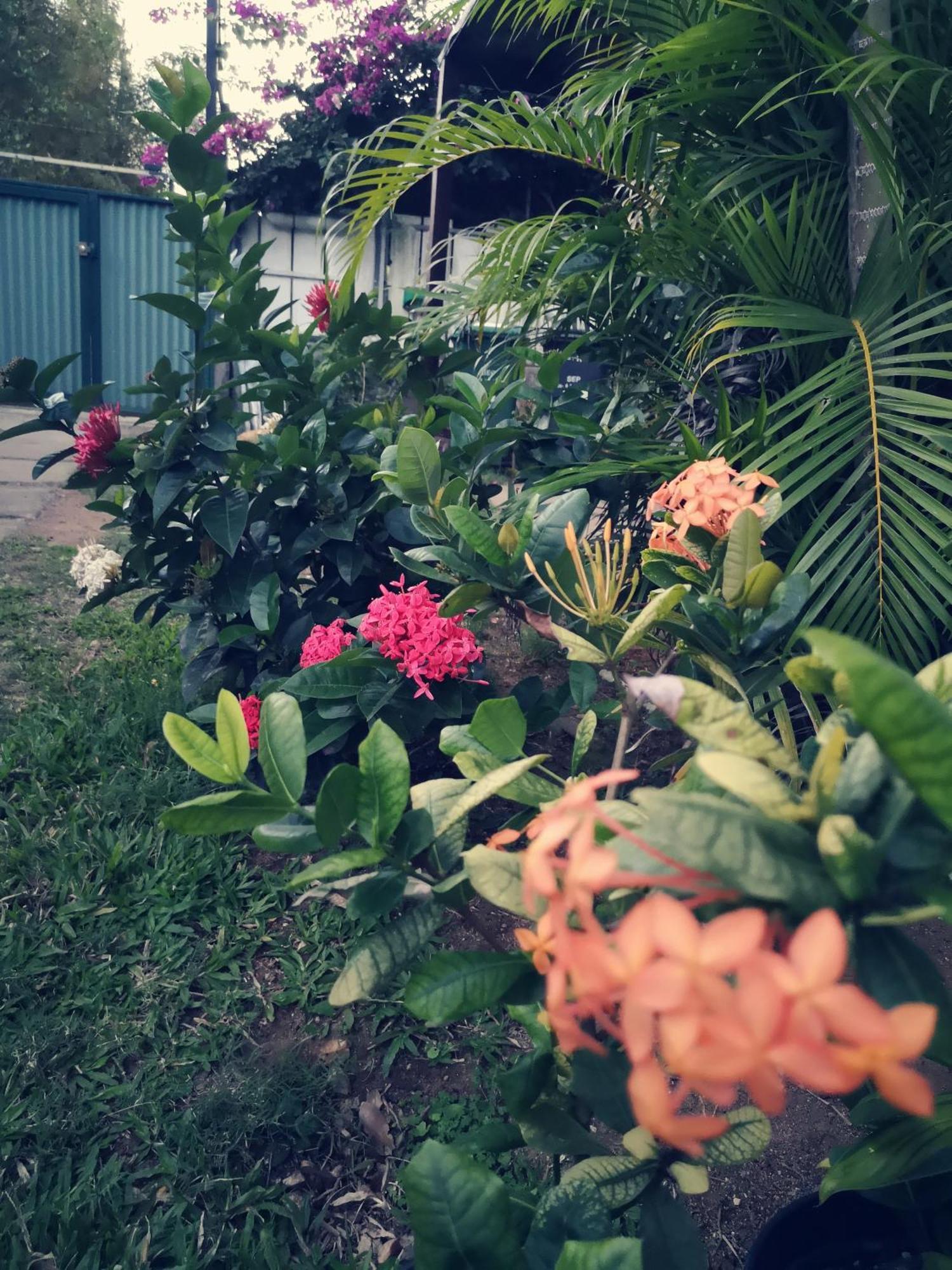 Lagoon Dream Moorea Εξωτερικό φωτογραφία