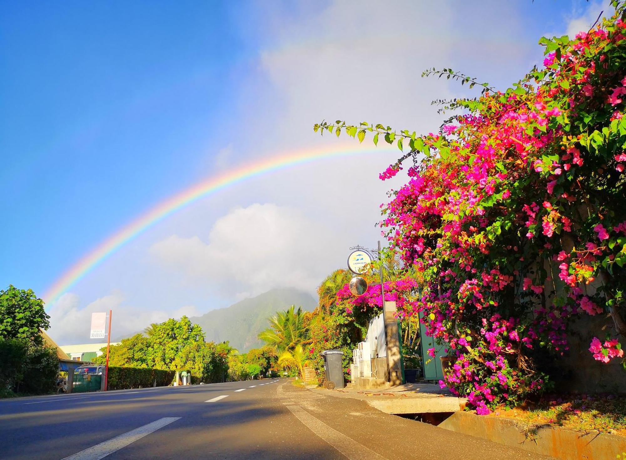 Lagoon Dream Moorea Εξωτερικό φωτογραφία