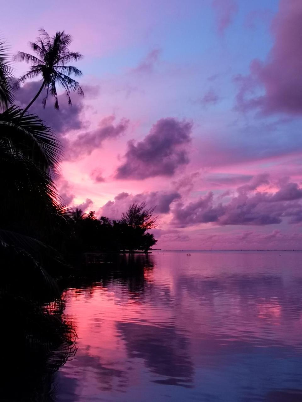 Lagoon Dream Moorea Εξωτερικό φωτογραφία