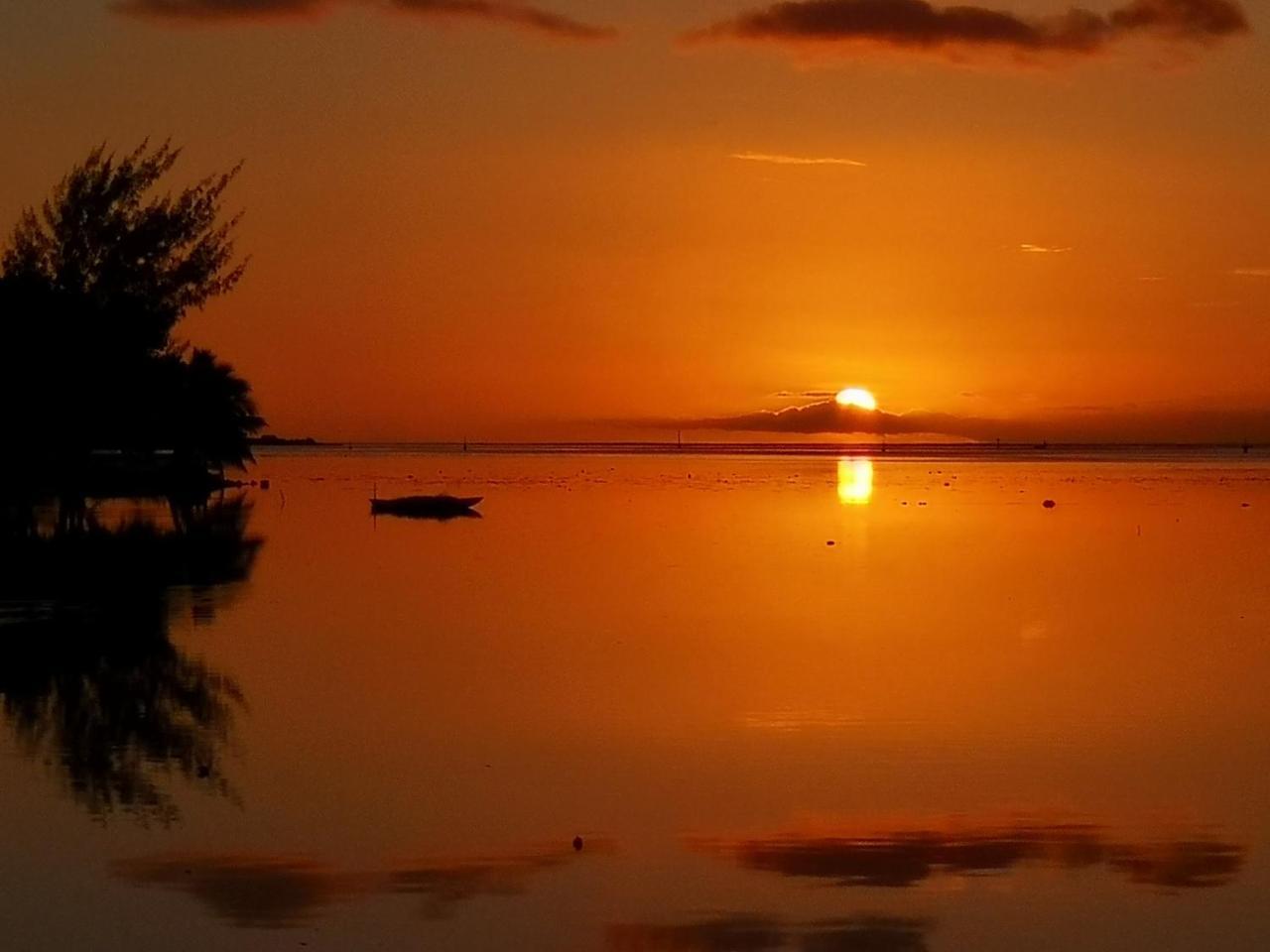 Lagoon Dream Moorea Εξωτερικό φωτογραφία