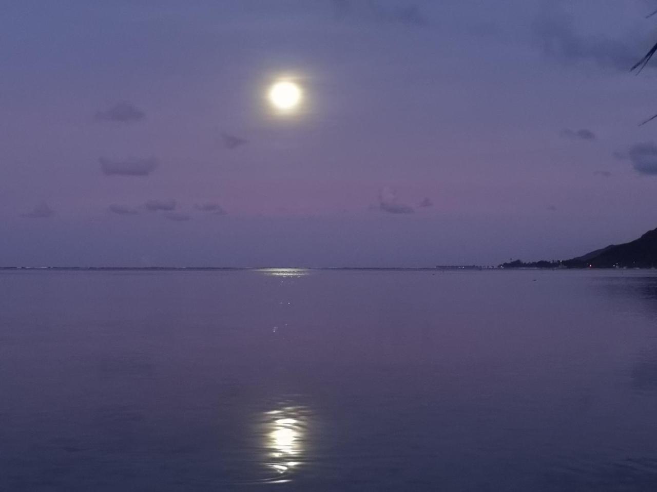 Lagoon Dream Moorea Εξωτερικό φωτογραφία